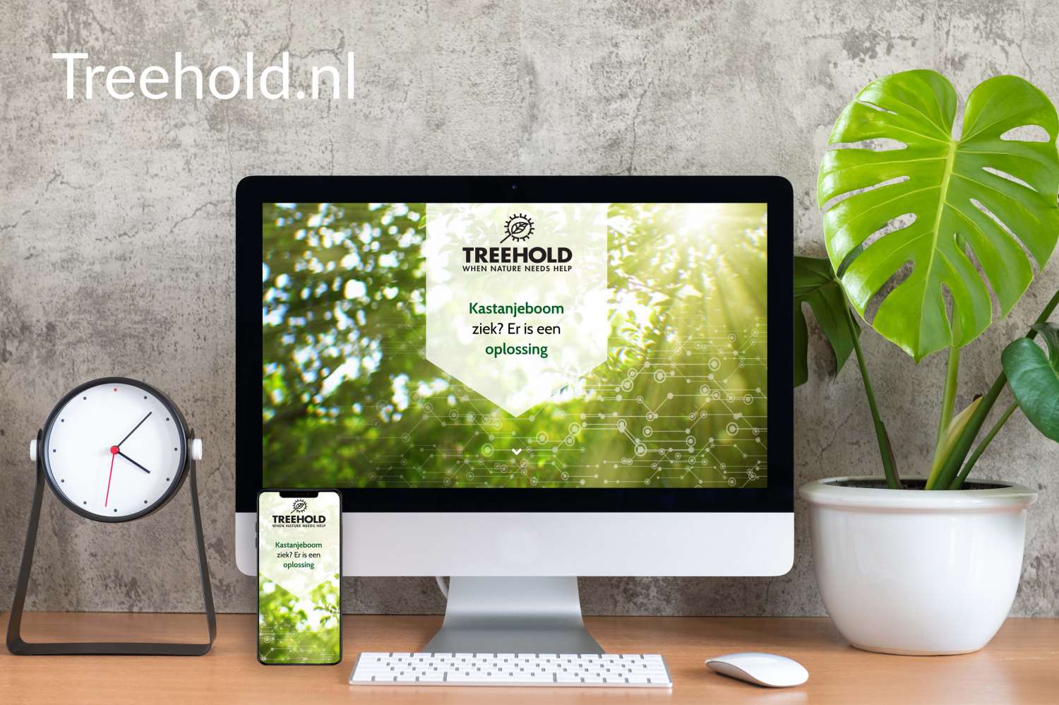 Featured image for “Vernieuwde website voor Treehold”